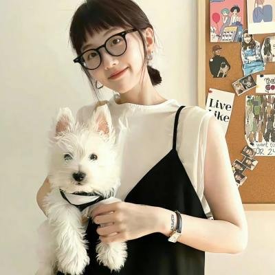 这就是哈里斯